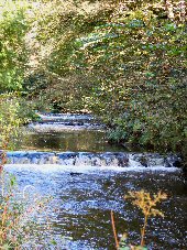 Beresford Dale