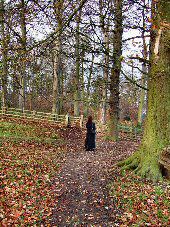 Vicar Wood