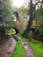 Double Bridge