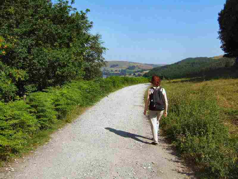 Upper Derwent Valley