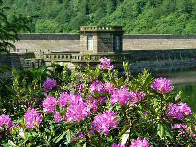 Derwent Dam Wall