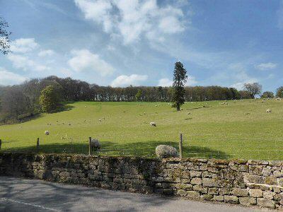 Wood is boundary between Carsington & Hopton