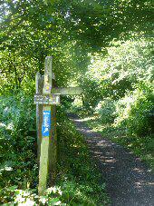 Thornhill Trail