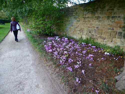 Hardwick Hall Estate