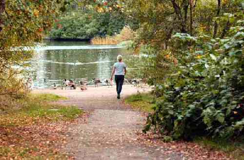 Shipley Country Park Lake