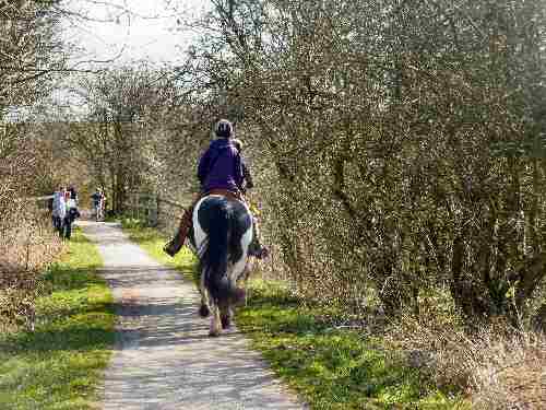 Horse Riding on Tissington Trail