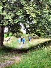 High Tor Pleasure Grounds