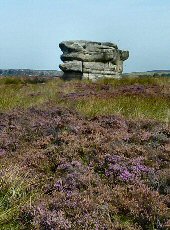 Eagle Stone