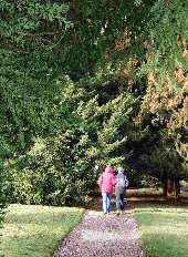 Pleasure Grounds, Kedleston
