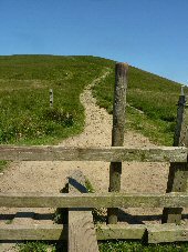 Lose Hill, Hope