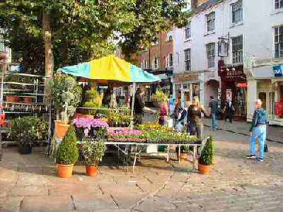 Plant Market, Chesterfield