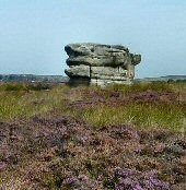 Eagle Stone
