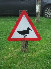 Duck Crossing, Foolow