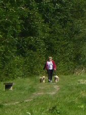 Killamarsh Park