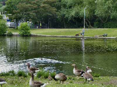 Kirk Hallam Lake