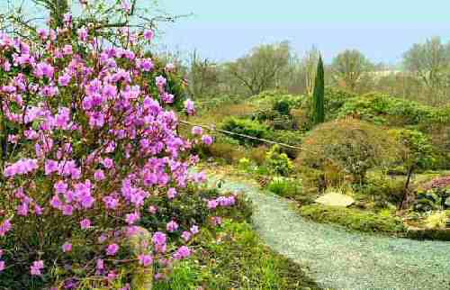 Lea Gardens