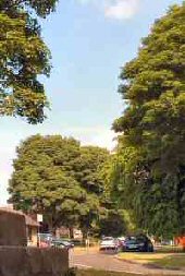 Main Street, Litton