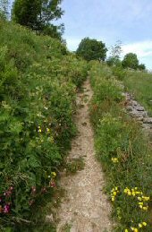 Middleton Top Footpath