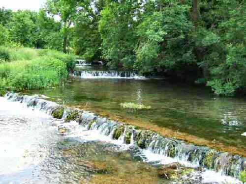 Bradford Dale