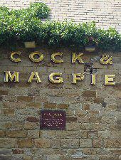 Cock and Magpie