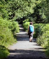 Thornhill Trail