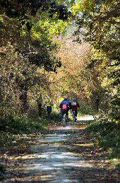 Tissington Trail