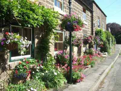 Wyver Lane, Belper