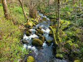 Padley Gorge
