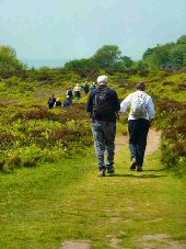 Stanton Moor