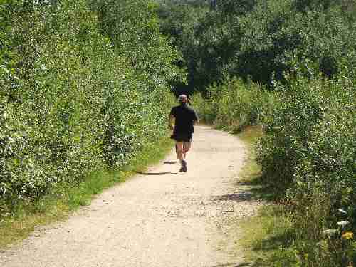 Longdendale Trail