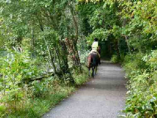 Nutwood Trail
