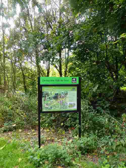 Derbyshire Wildlife Trust