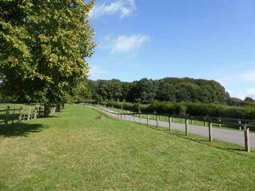 Shipley Country Park
