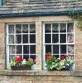 Pilsley Window Display