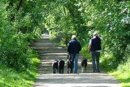 Dog Walkers on the Sett Valley Trail