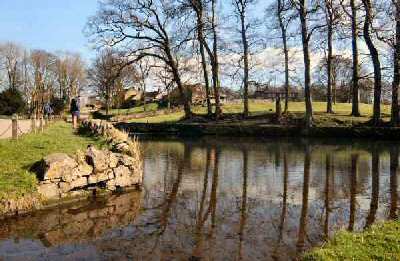 Tissington Pond