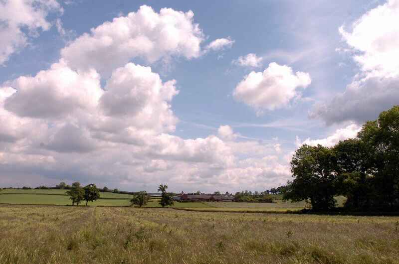 Newton Solney and Winshill Walk