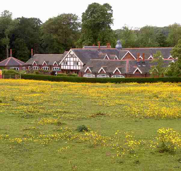 The Park, Newton Solney