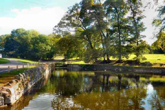 Tissington Pond