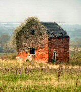 Market Gardening Storage