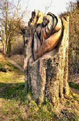 Tideswell Dale Trail