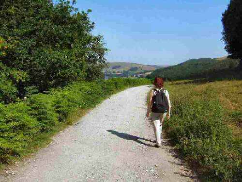 Ladybower, Upper Derwent Valley