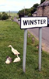 Winster
