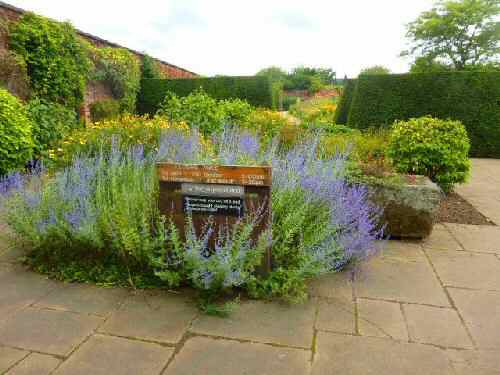 Old English Garden, Elvaston