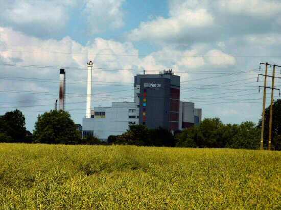 Nestles Factory