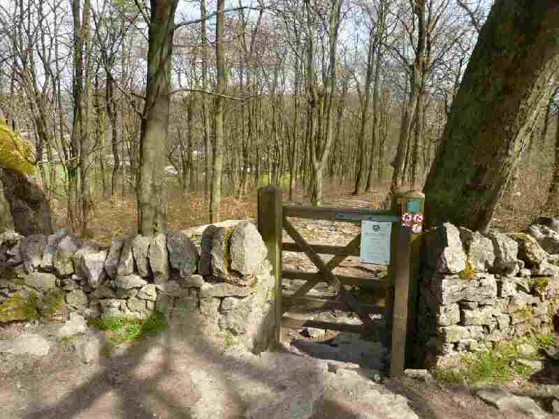 Grin Low Woods, Buxton