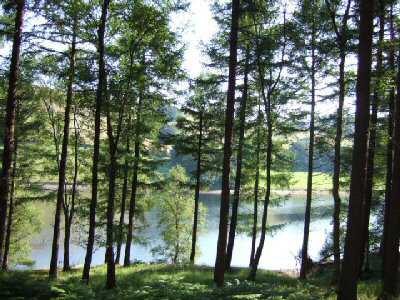 Heatherdene, Yorkshire Bridge