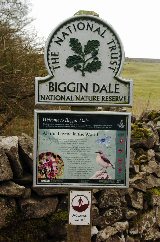 Biggin Dale