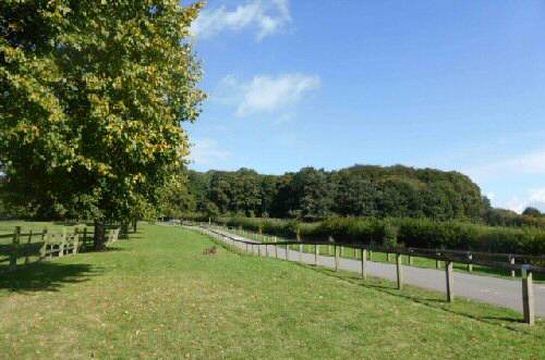 Shipley Country Park