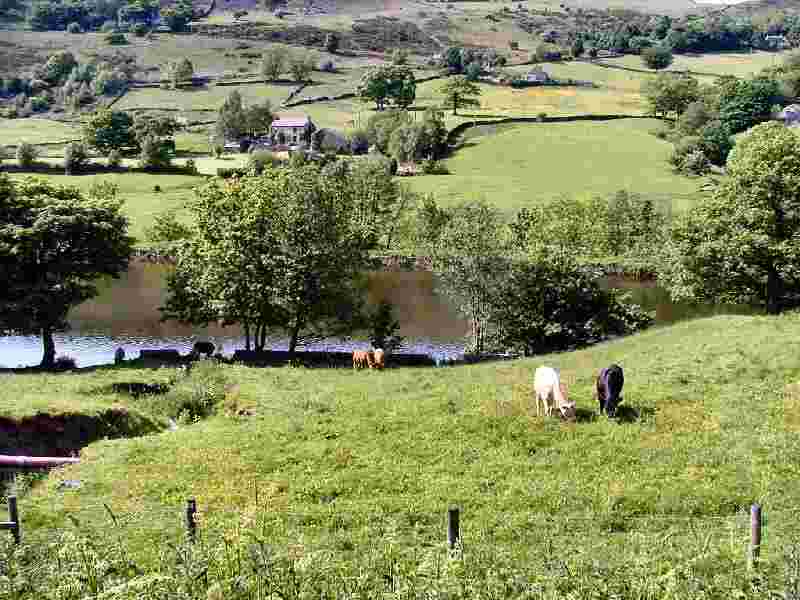 Birch Vale Reservoir from the Sett Valley Trail